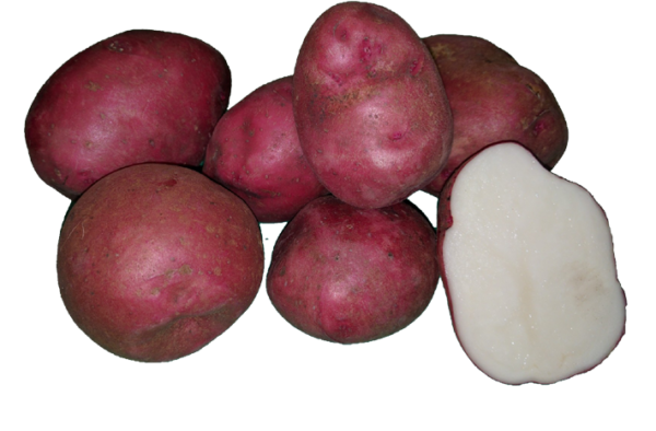 viking-potato