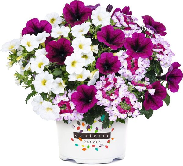 Confetti Garden Berry Cobbler